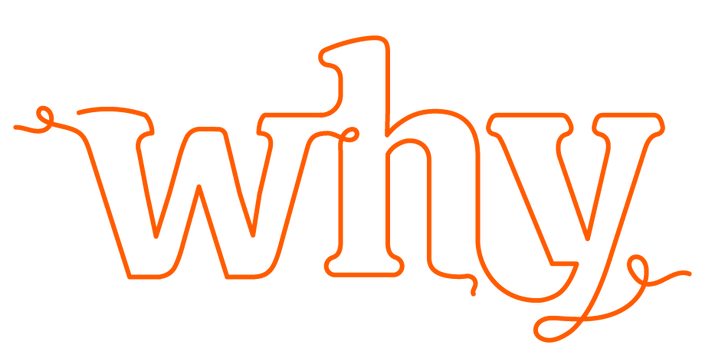 The Value of Rookie Thinking in Your Business