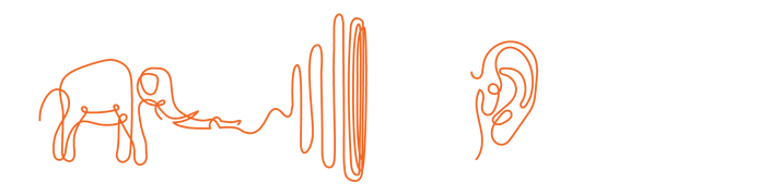 From Noise to Noteworthy: Mastering Your Marketing Trumpet